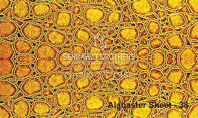 Alabaster Sheet SBAS1038