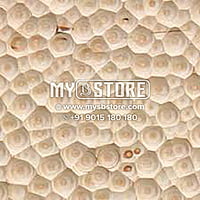 3 D Brich Ply Board 3 D Brich Ply Board