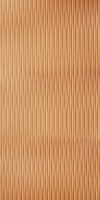 2D Wave Board SBWP1025