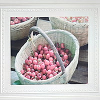 White Fruit Wall Stickers Panel Self Adhesive White Fruit Wall Stickers Panel Self Adhesive